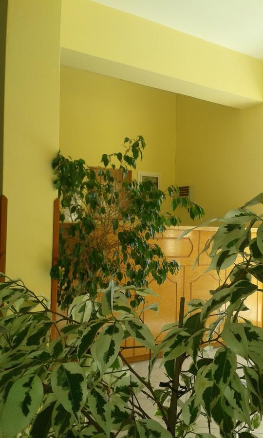 Calypso Hotel Othoni Extérieur photo